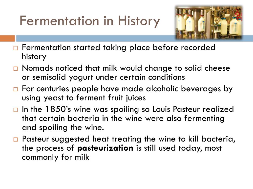 PPT - Fermentation In History L