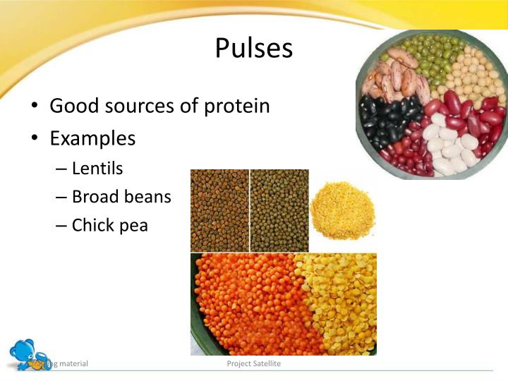 PPT Complementary feeding Bridging the gaps PowerPoint Presentation