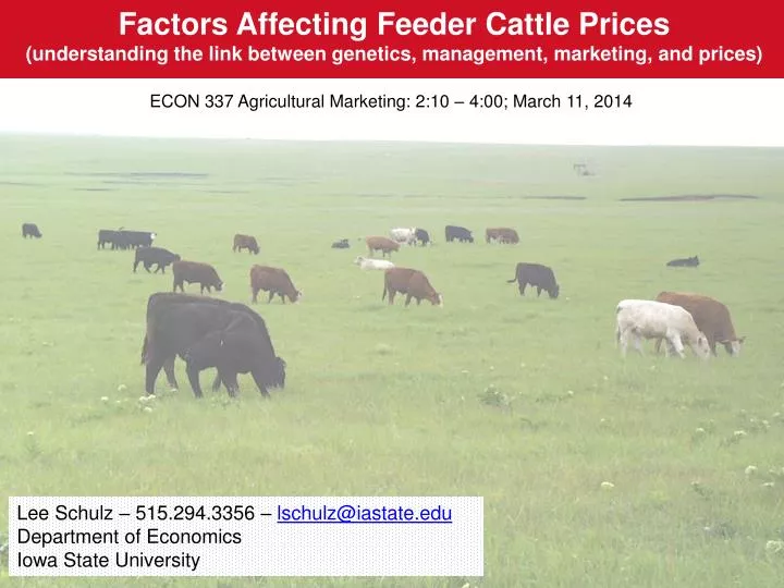 PPT Factors Affecting Feeder Cattle Prices (understanding the link