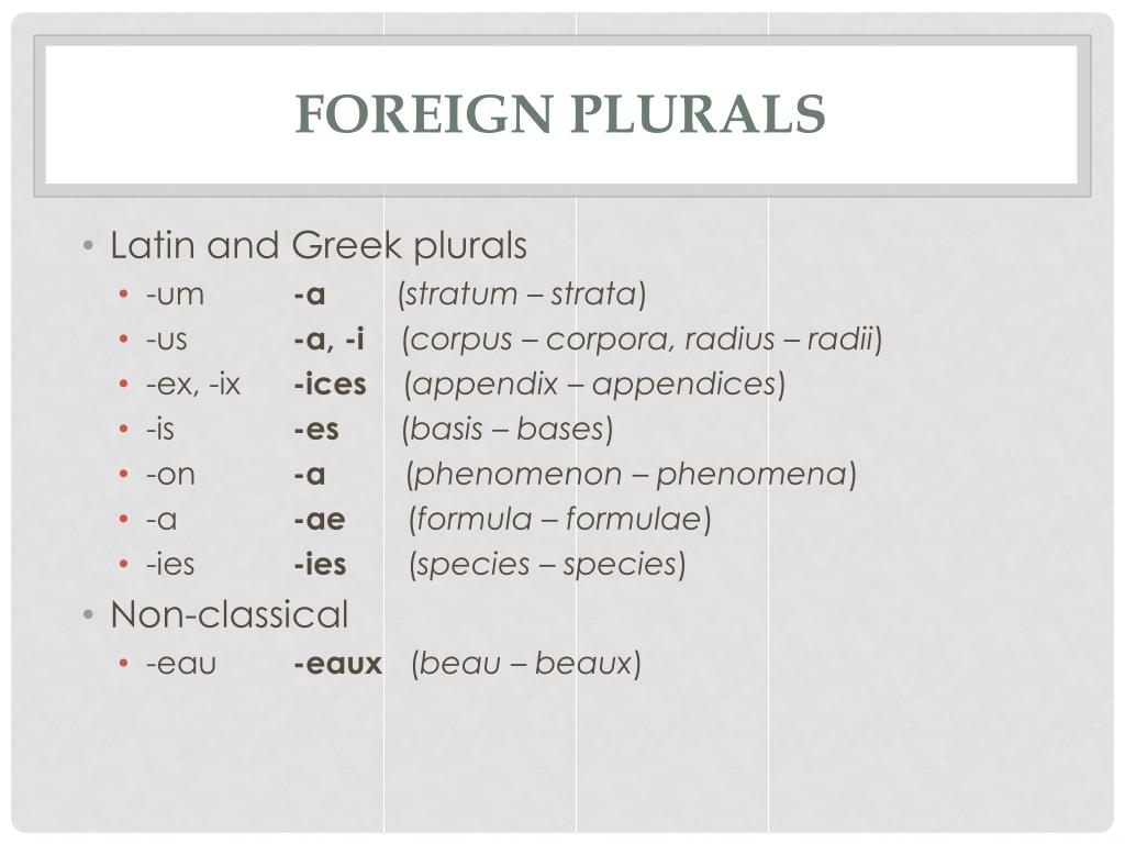 plurals-my-english-blog