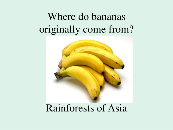 PPT Which foods PowerPoint Presentation ID1611778