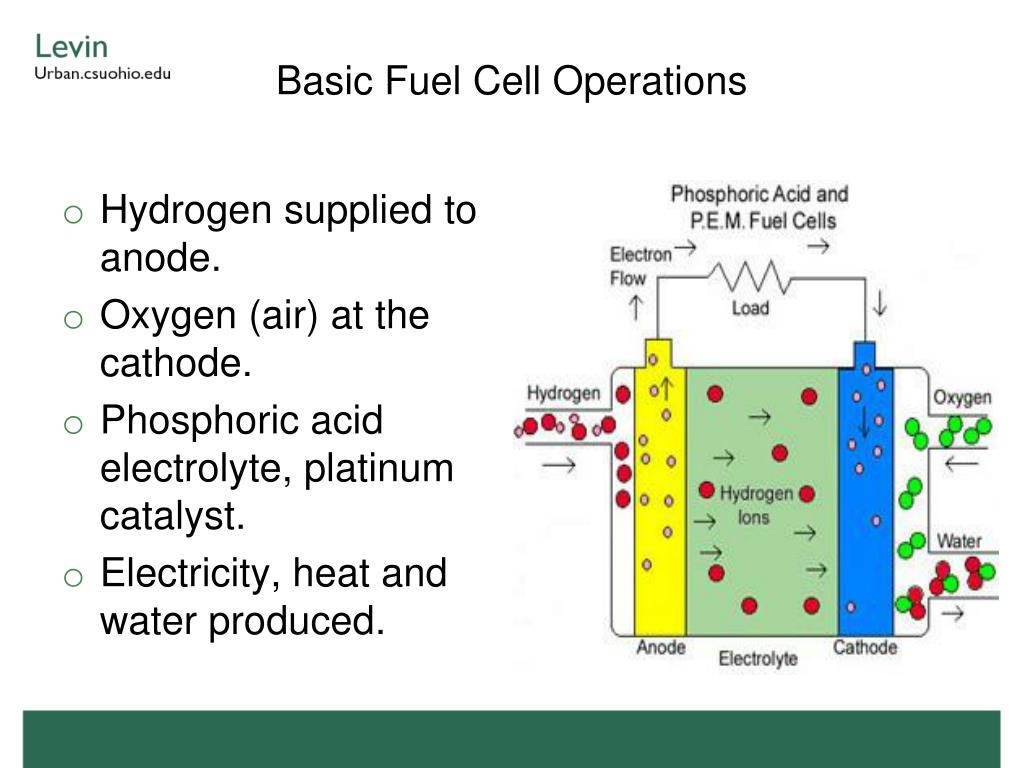 Basic Fuel Cell PPT - Fuel Cells and Energy Policy Andrew R. Thomas Energy Law & Policy ...