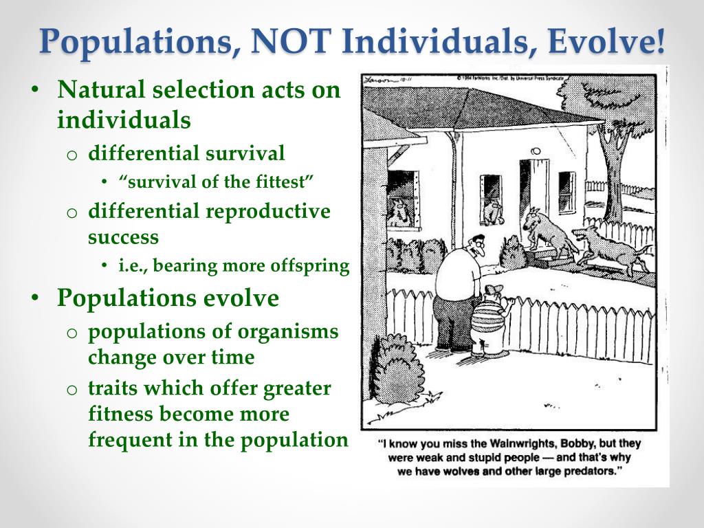 Ppt The Evolution Of Populations Chapter 23 Powerpoint Presentation Free Download Id1614930 