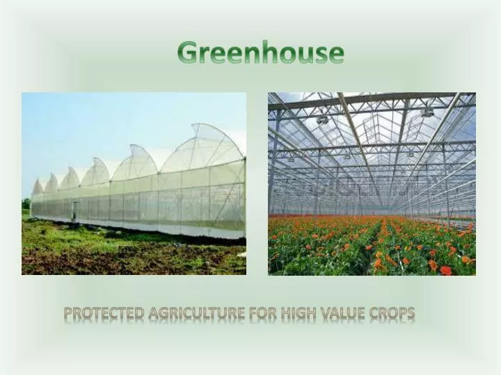 PPT - Greenhouse PowerPoint Presentation, free download - ID:1616731