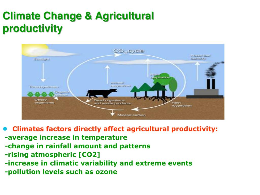 PPT - Assessment of climate change impacts on agriculture and a case ...