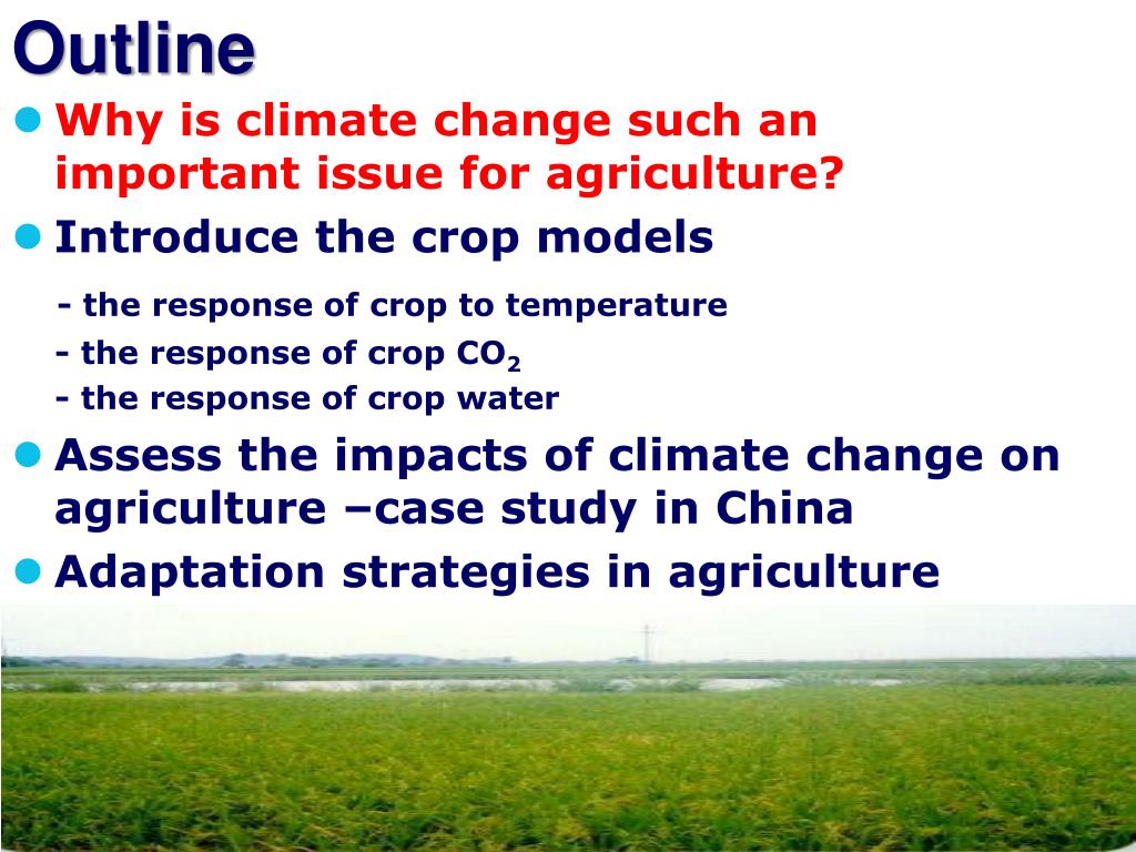 PPT - Assessment of climate change impacts on agriculture and a case ...