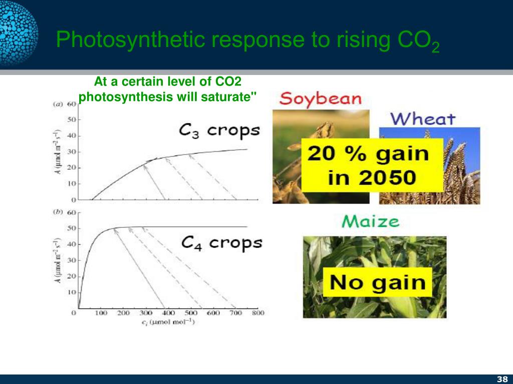 PPT - Assessment of climate change impacts on agriculture and a case ...