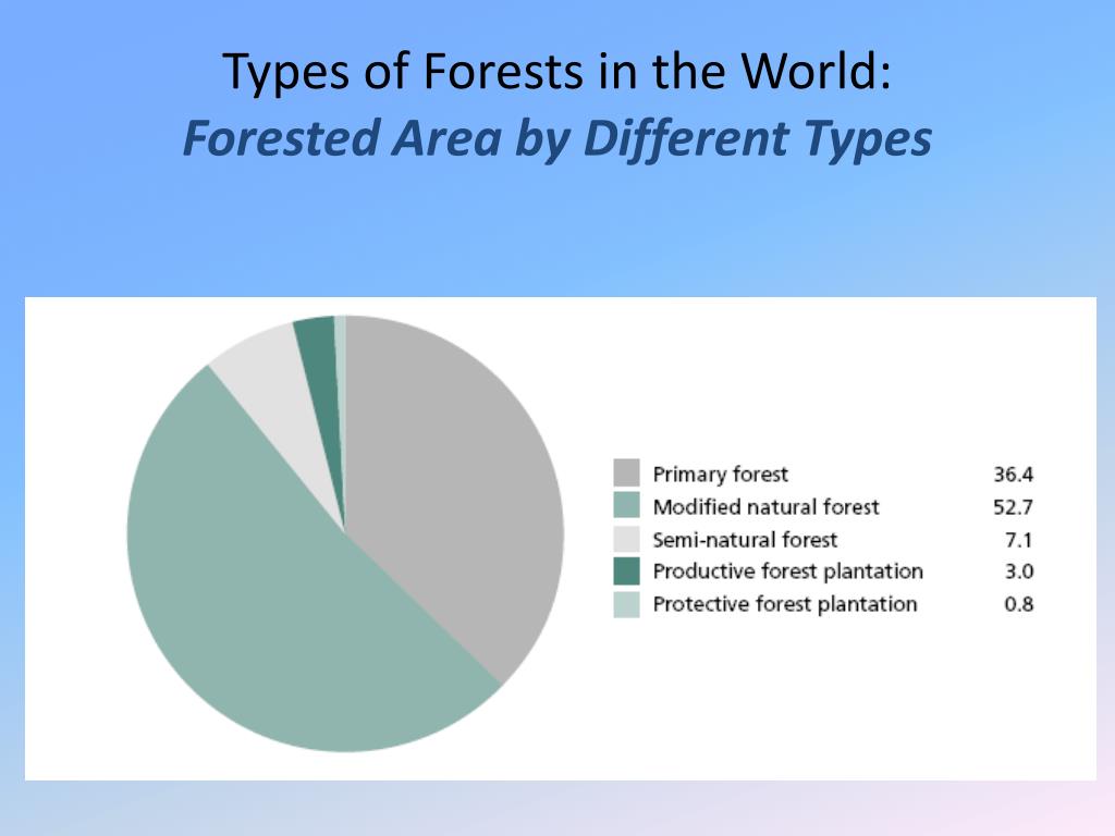 PPT - Forests of the World: Economic, Social and Environmental Values ...