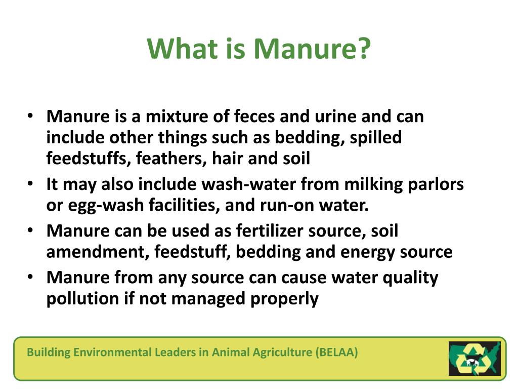 PPT Manure 101 PowerPoint Presentation Free Download ID 1618905