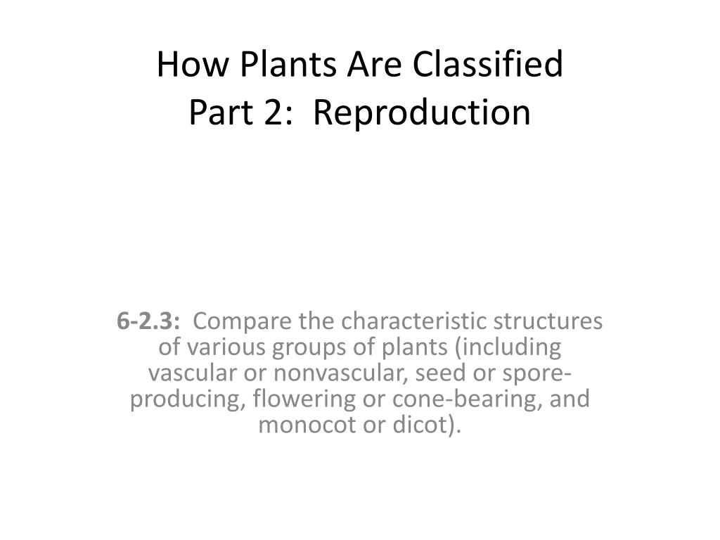 Ppt How Plants Are Classified Part 2