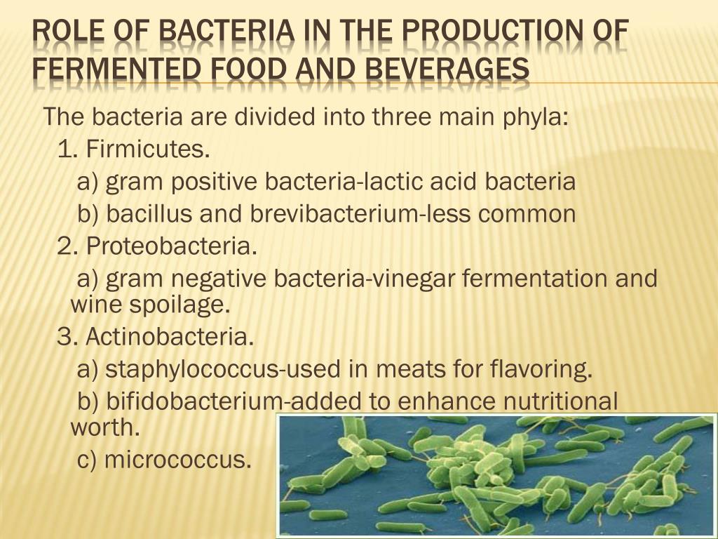 PPT - Microbiology of Fermented Foods and Beverages By: Momina Masud  PowerPoint Presentation - ID:1619851