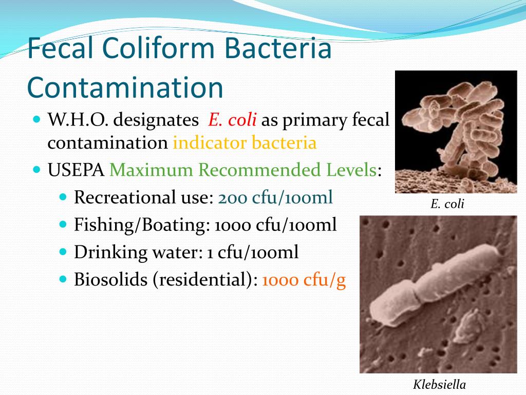 PPT - Impact of Hurricanes Katrina and Rita on the Water Quality in ...
