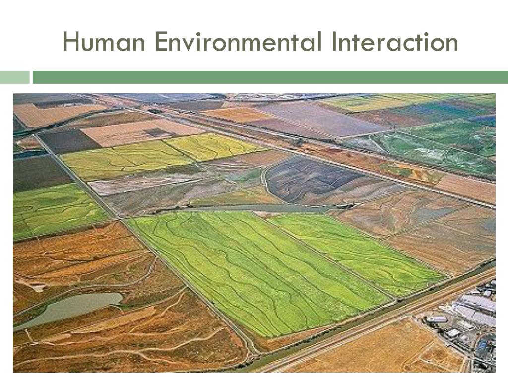 Human environment is