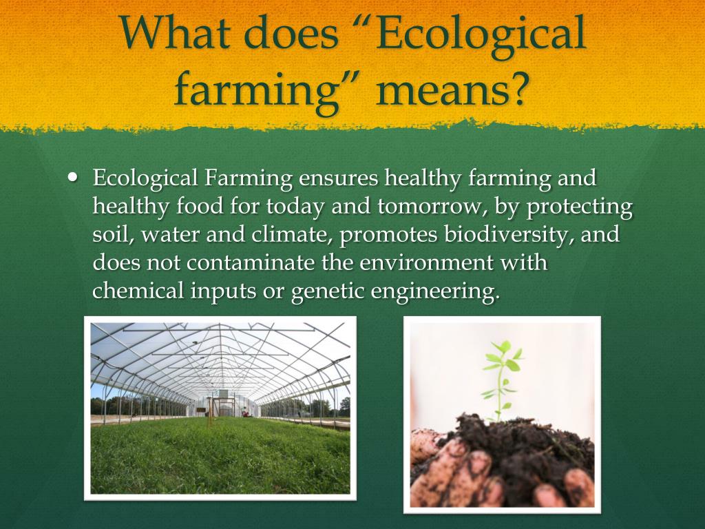 ecological agriculture essay