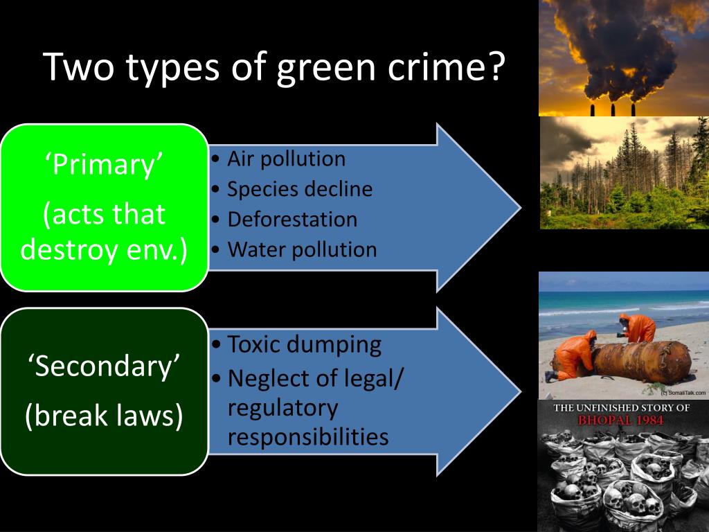 green crime sociology essay