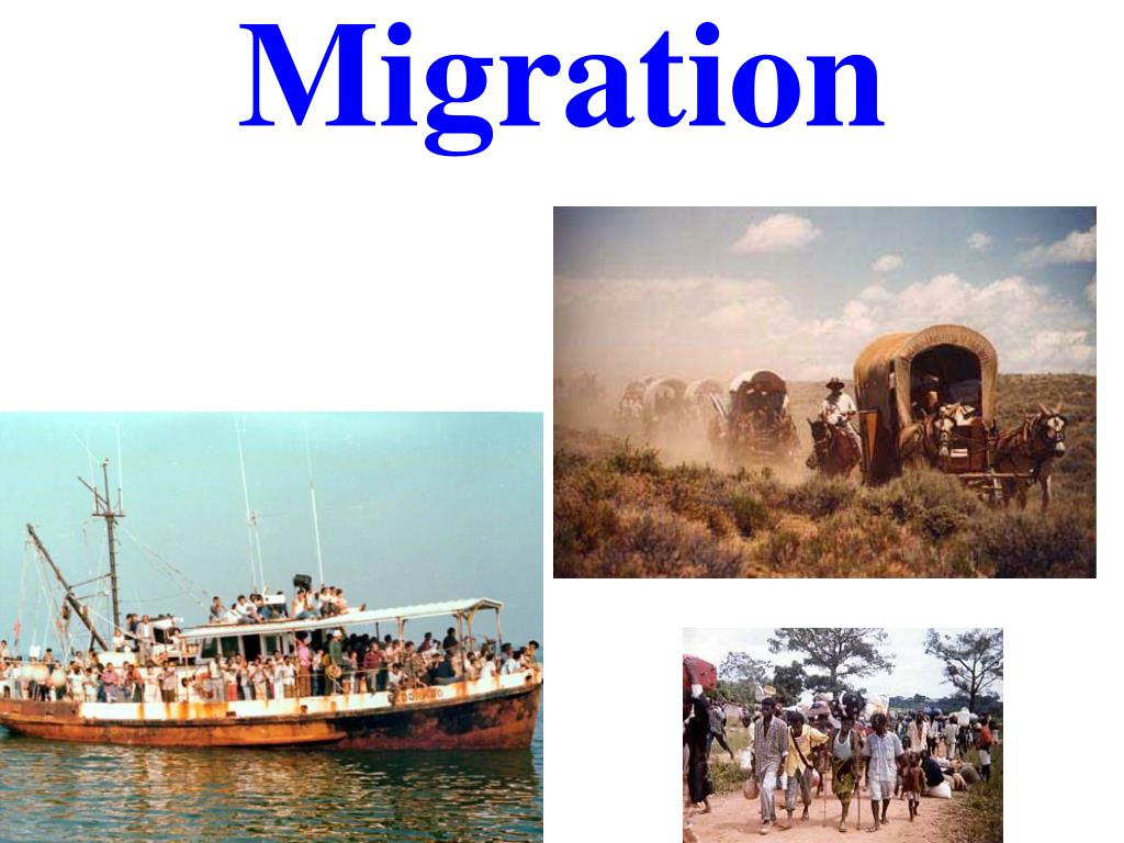 presentation of migration