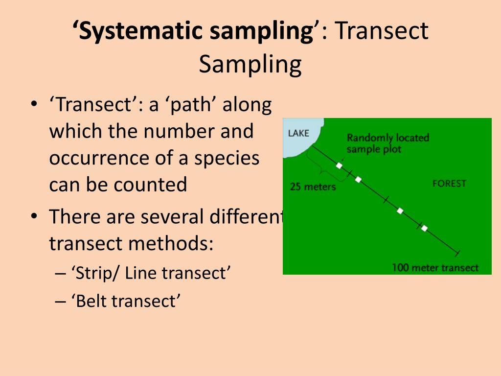 what is systematic sampling biology