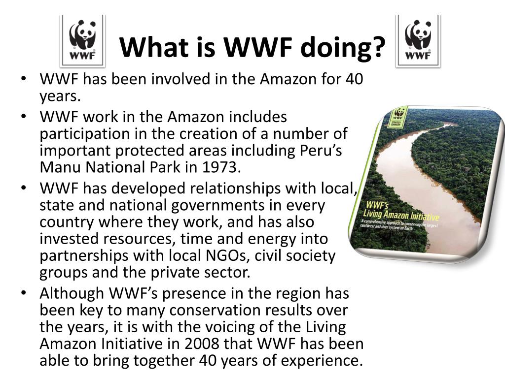 The world wildlife fund is. (Англ. World Wildlife Fund, WWF). WWF презентация. WWF what they do. What does WWF do.