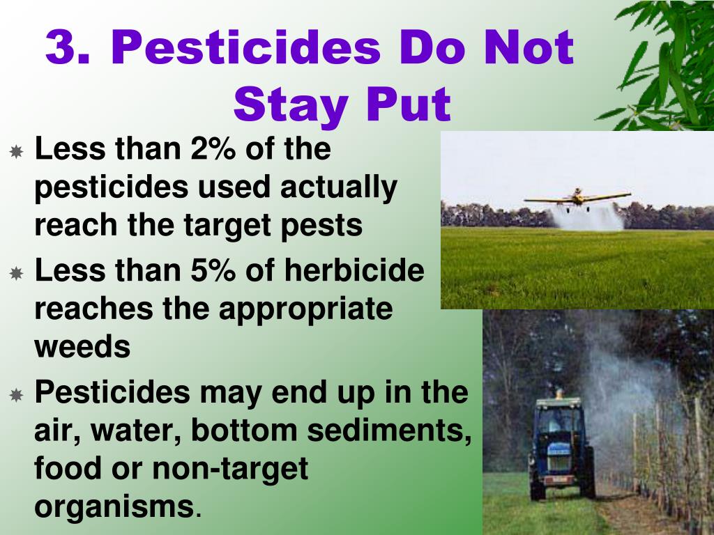 Ppt Chapter 20 Pesticides And Pest Control Powerpoint Presentation Id1622465