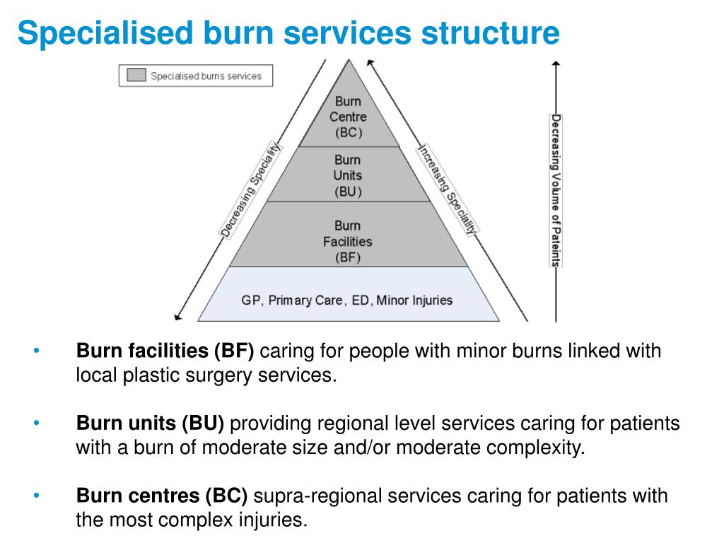 PPT London and South East England Specialised Burns Project