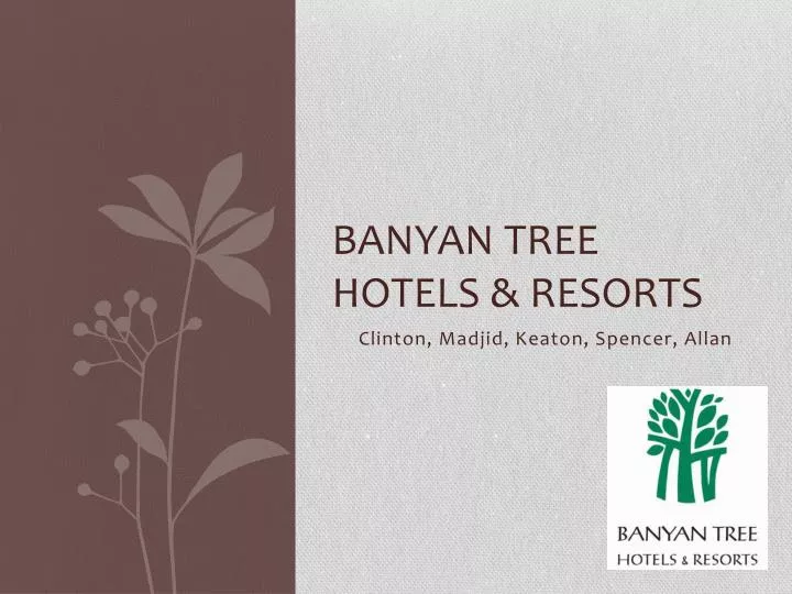 banyan tree hotels resorts n.