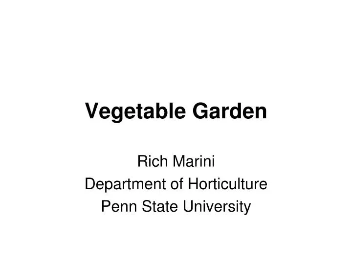 vegetable garden n.