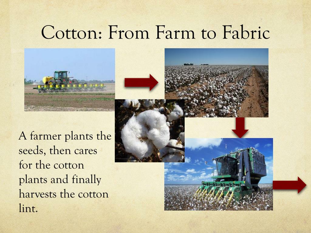 cotton journey of clothes from farm to ourselves