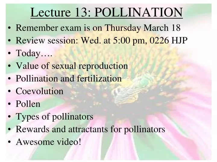 lecture 13 pollination n.