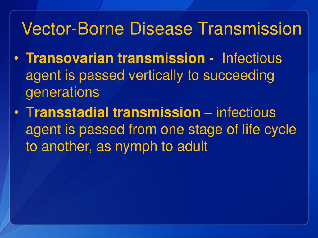 Examples of vector borne transmission - Hopdns