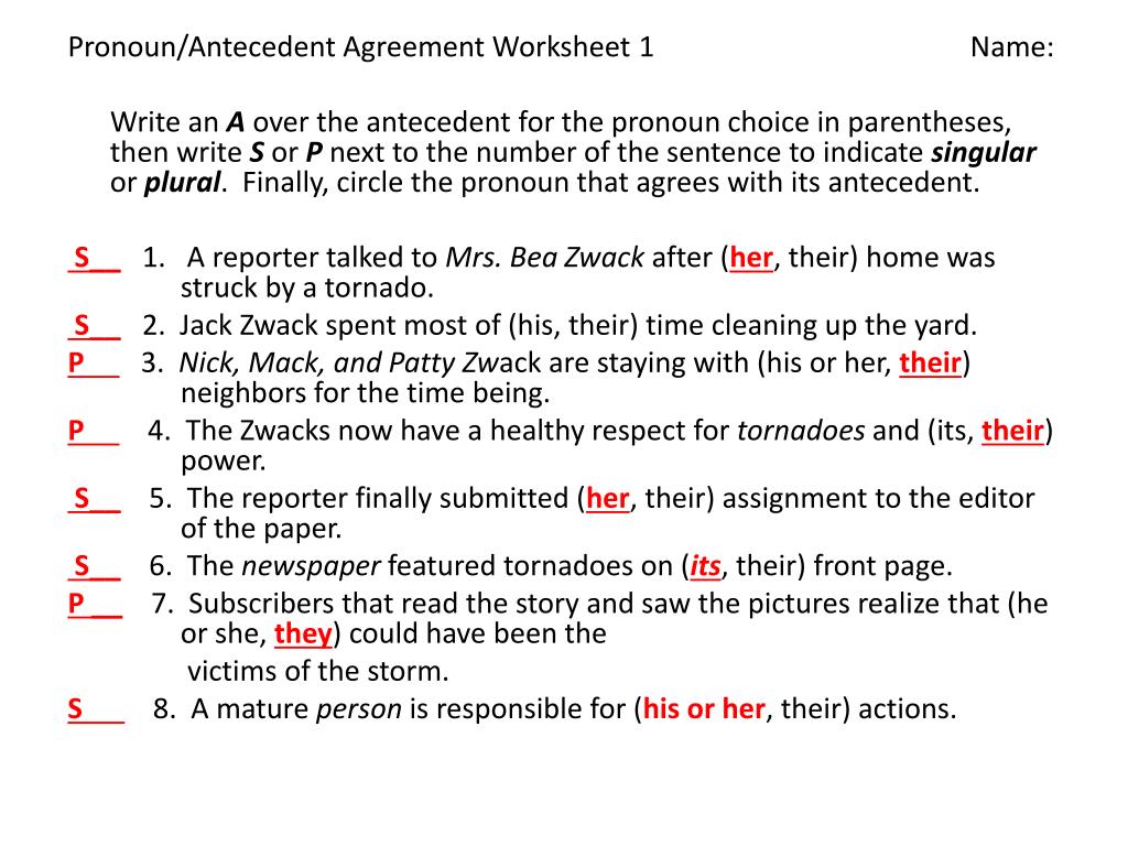 Pronoun Antecedent Agreement Worksheet