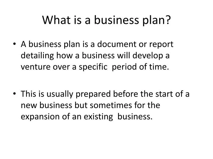 what is a business plan n.