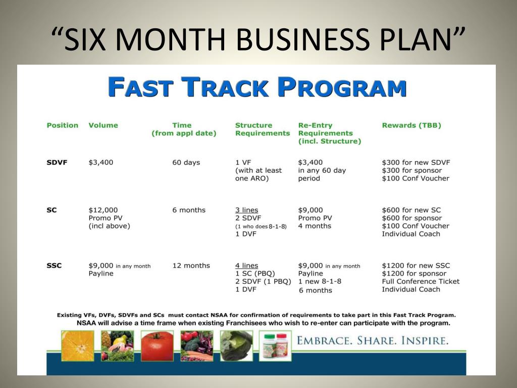 3 6 month business plan