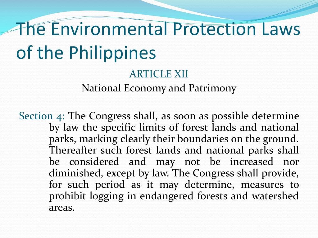 environmental protection in the philippines essay