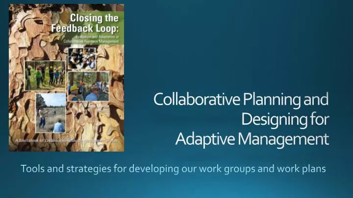 tools and strategies for developing our work groups and work plans n.