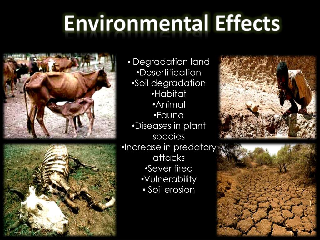 drought case study slideshare
