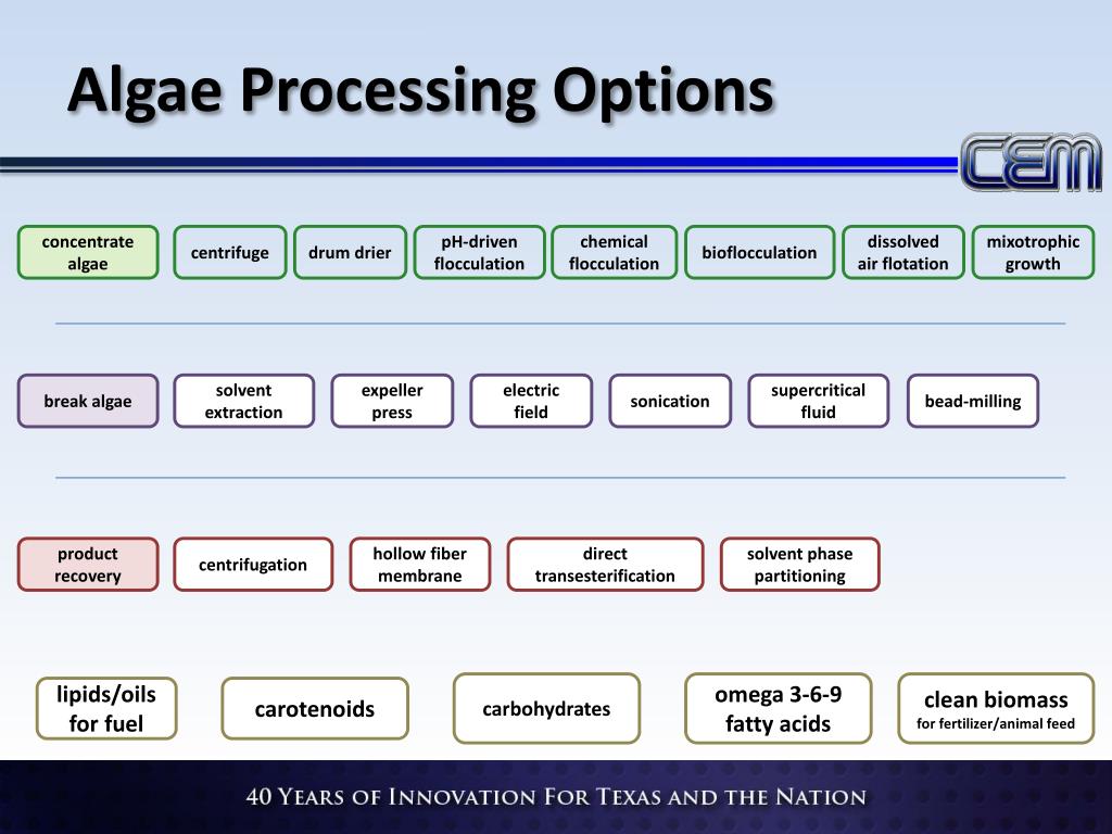 PPT - 2012 Advisory Panel The Challenge of Algal Fuel: Monetizing the ...