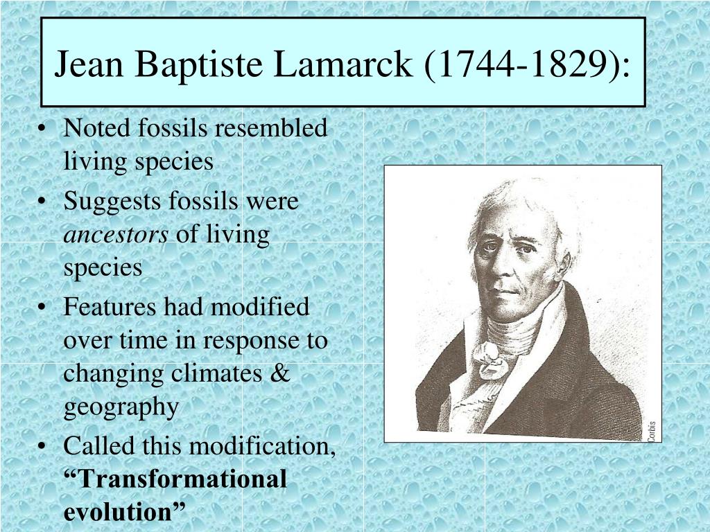 PPT - Jean Baptiste Lamarck (1744-1829): PowerPoint Presentation, free download - ID:1635828