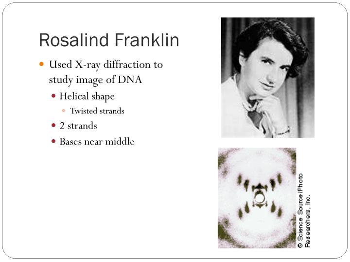 rosalind franklin x ray diffraction on dna rosalind franklin x ray diffraction on dna