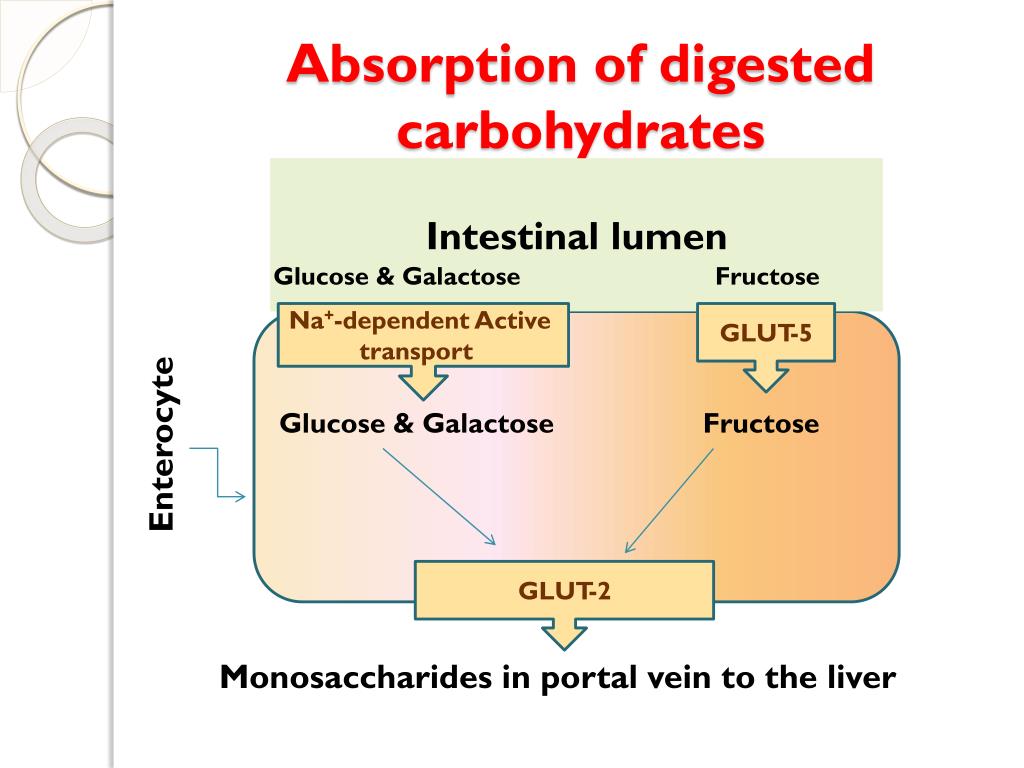 PPT - Biochemical Aspects of Digestion of Proteins & Carbohydrates ...