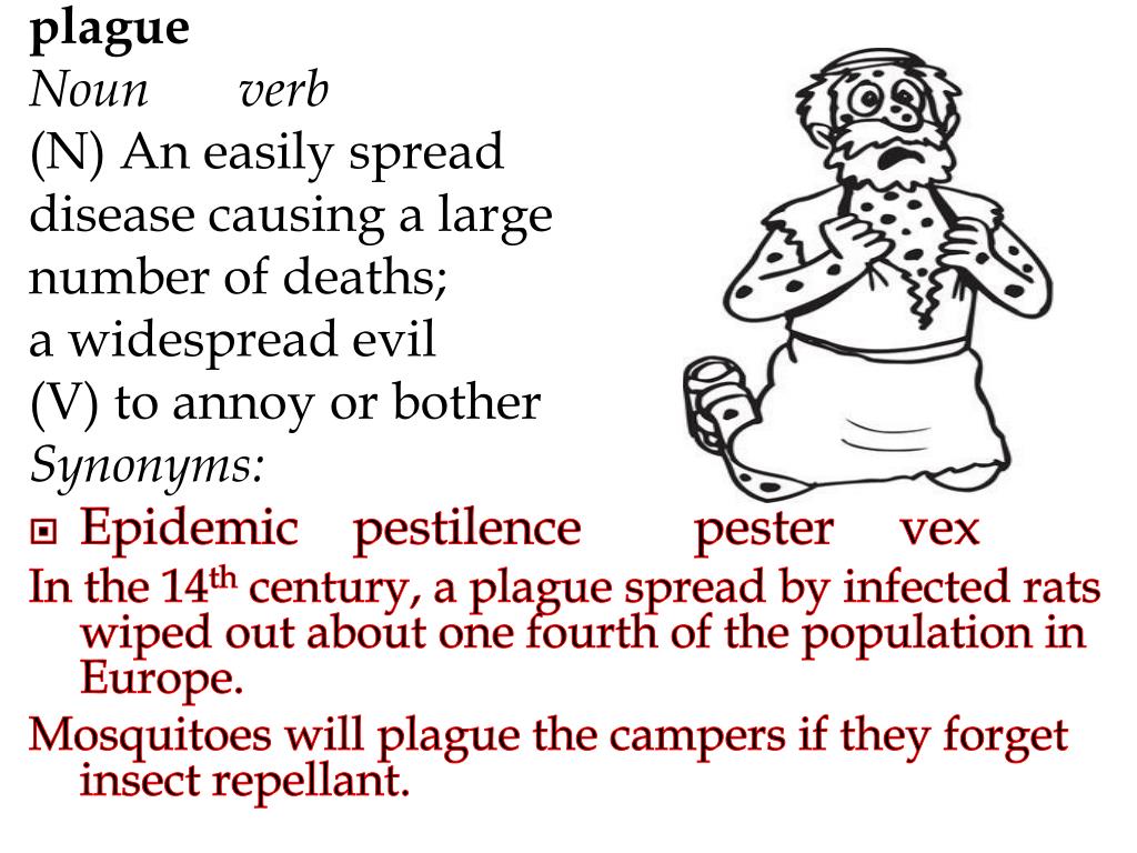 pester synonym pester synonym