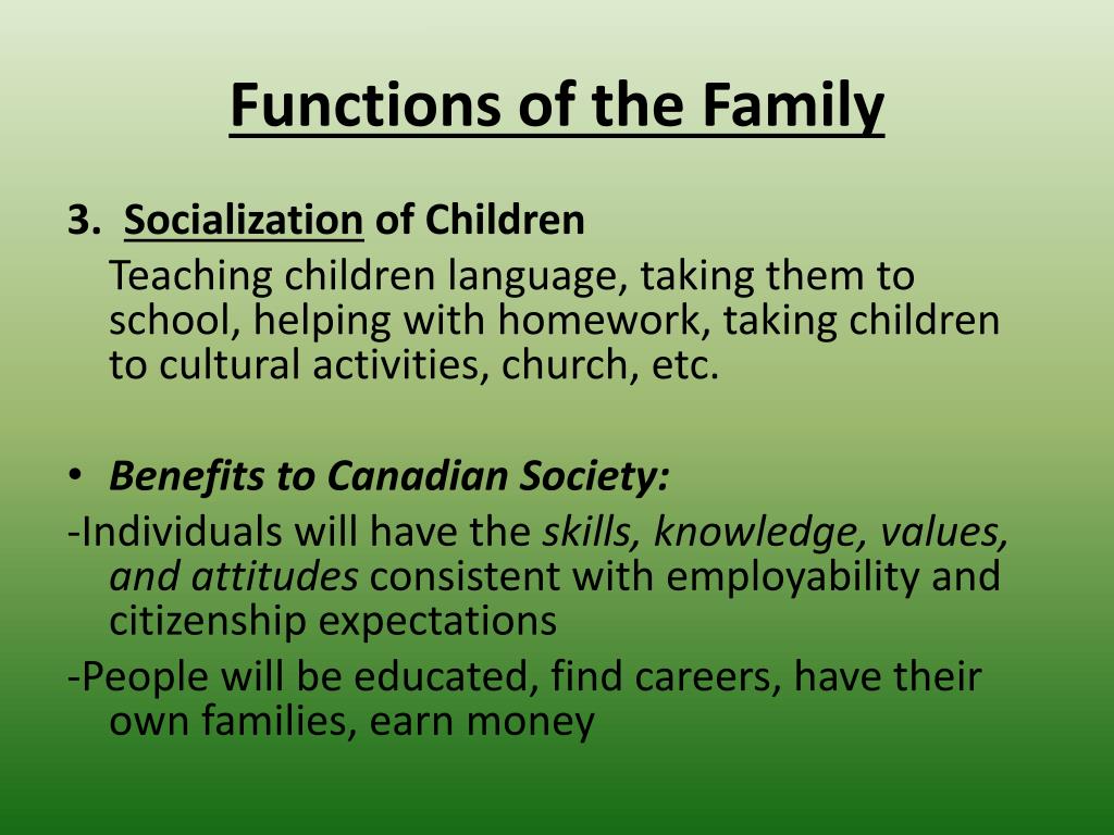 essay on family function
