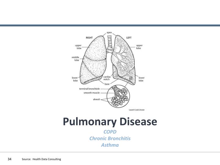 PPT - ICD-10 Rural or urban; It impacts all providers 