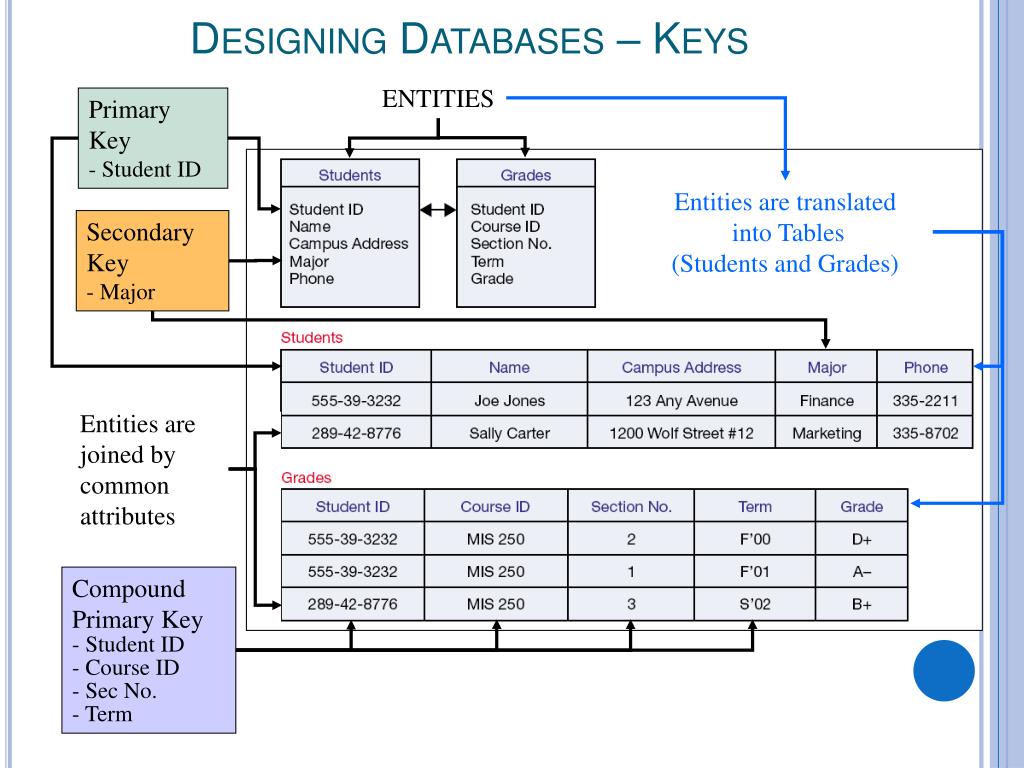PPT - Data and Knowledge Management PowerPoint Presentation, free ...