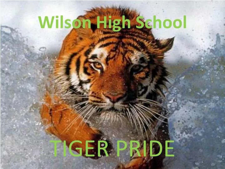 wilson high school n.
