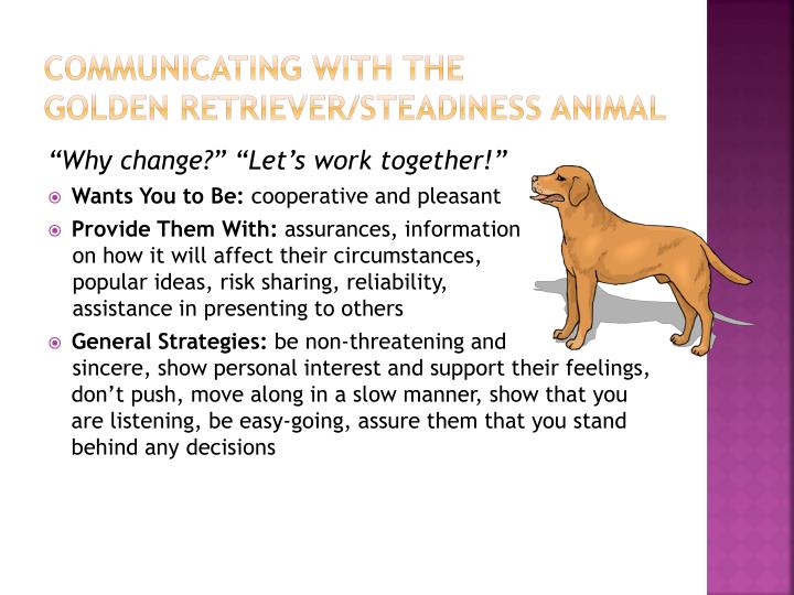 personality test otter golden retriever and beaver otter beaver golden retriever test best image konpax 2017 personality test otter golden retriever and beaver otter beaver golden retriever test best image konpax 2017
