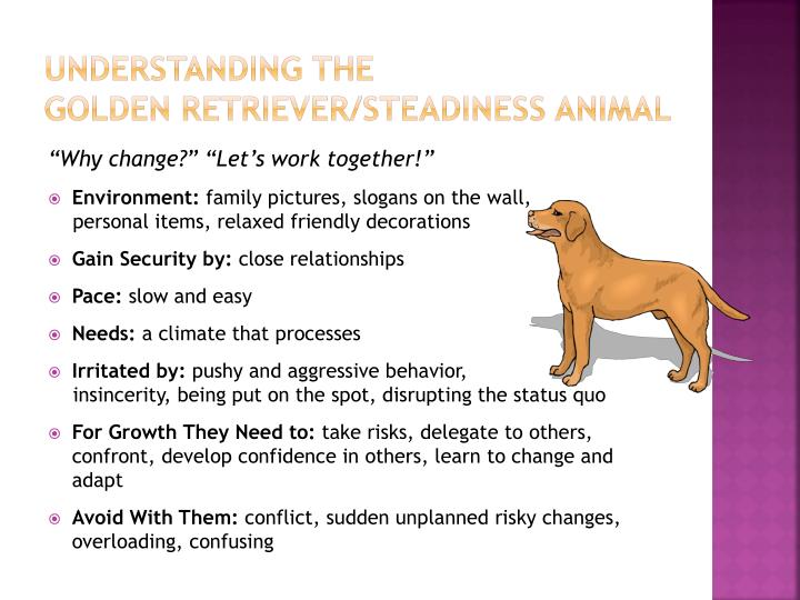 otter golden retriever beaver beaver otter golden retriever test the best in 2018 otter golden retriever beaver beaver otter golden retriever test the best in 2018
