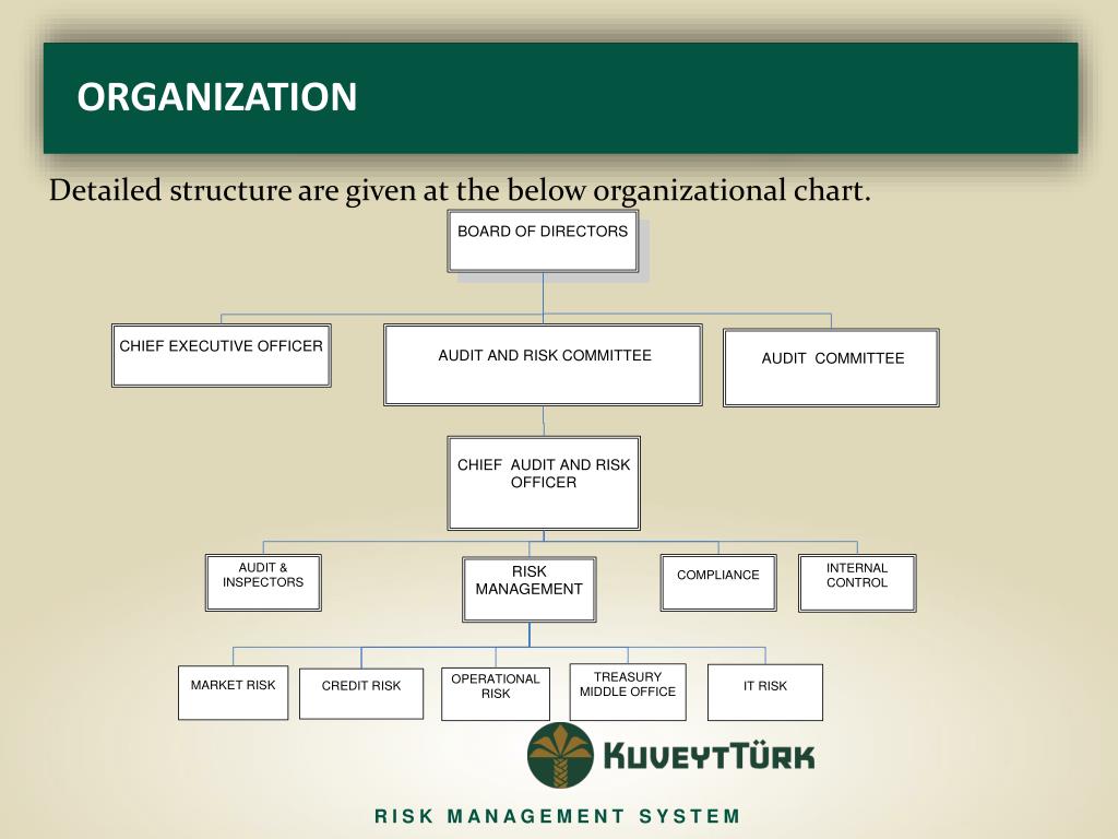 Risk Management Organization Chart