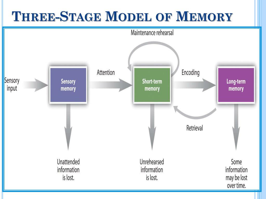 presentation on memory in psychology