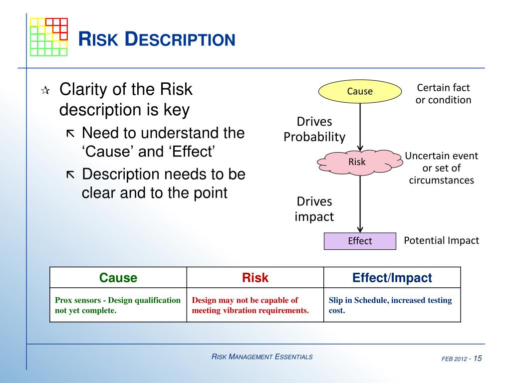 What is a risk description
