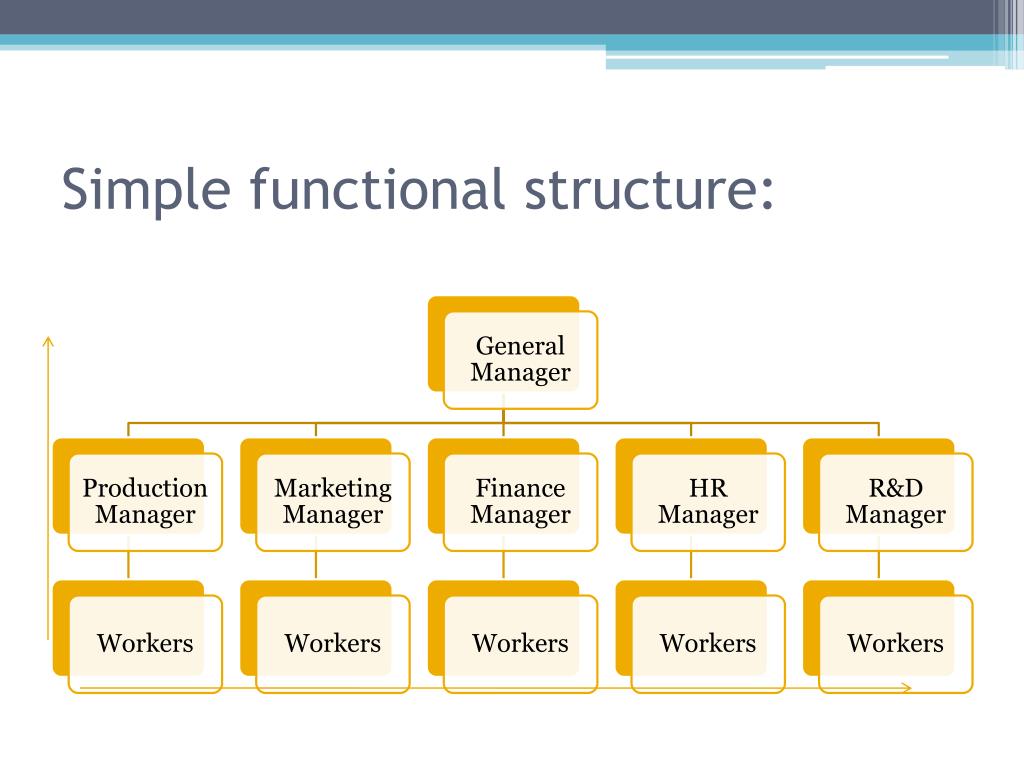 What Is A Functional Structure Vrogue co what-is-a-functional-structure-vrogue-co